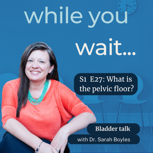 while you wait podcast -  Bladder talk with the founder of the Womens Bladder Doctor, Dr. Sarah Boyles -What is the pelvic floor?