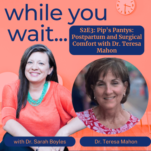 while you wait podcast bladder talk with Dr. Sarah Boyles:  Pip's Pantys: Postpartum and Surgical Comfort with Dr. Teresa Mahon