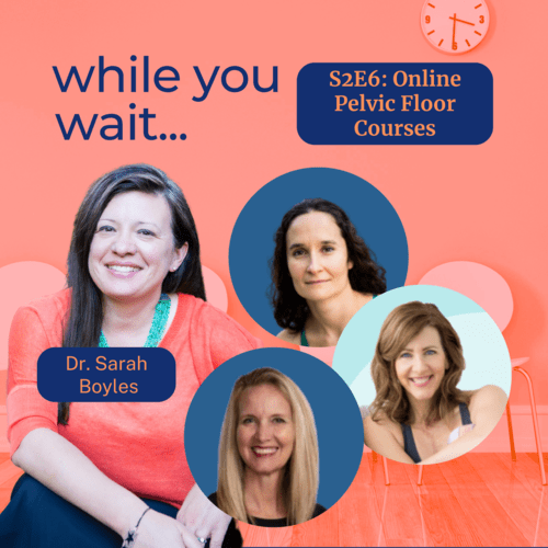 while you wait podcast bladder talk with Dr. Sarah Boyles- Online Pelvic Floor Courses 